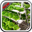 Hydroponics Design Ideas