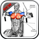 Tutoriales de ejercicios de entrenamiento APK