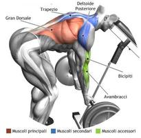 Tutoriales de ejercicios de entrenamiento captura de pantalla 3