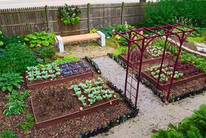 Vegetable Garden Ideas plakat