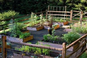 برنامه‌نما Vegetable Garden Ideas عکس از صفحه