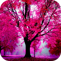 ”Tree Wallpapers