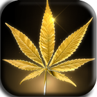 Weed Wallpaper آئیکن