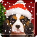 Christmas  PRO Live Wallpaper APK