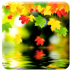 Live Autumn Wallpapers иконка