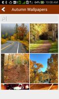 Autumn Wallpapers Fall HD پوسٹر