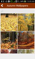 Autumn Wallpapers Fall HD captura de pantalla 1