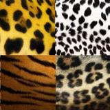 Icona Tiger skin wallpapers HD