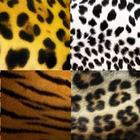 Tiger skin wallpapers HD icône