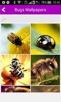 Ultra Bugs Wallpapers HD syot layar 1