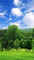 Beautiful Wallpapers स्क्रीनशॉट 2