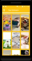 Dog Wallpaper ภาพหน้าจอ 3