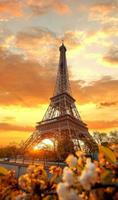 Eiffel Tower Wallpapers capture d'écran 3