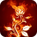 ”Fire Wallpapers