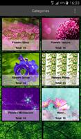 Flowers Wallpapers Plakat