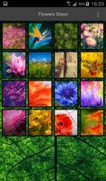 Flowers Wallpapers 截图 1