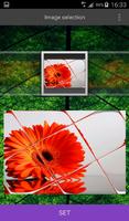 Flowers Wallpapers Screenshot 2