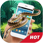 Snake On Screen Hissing Joke App icône