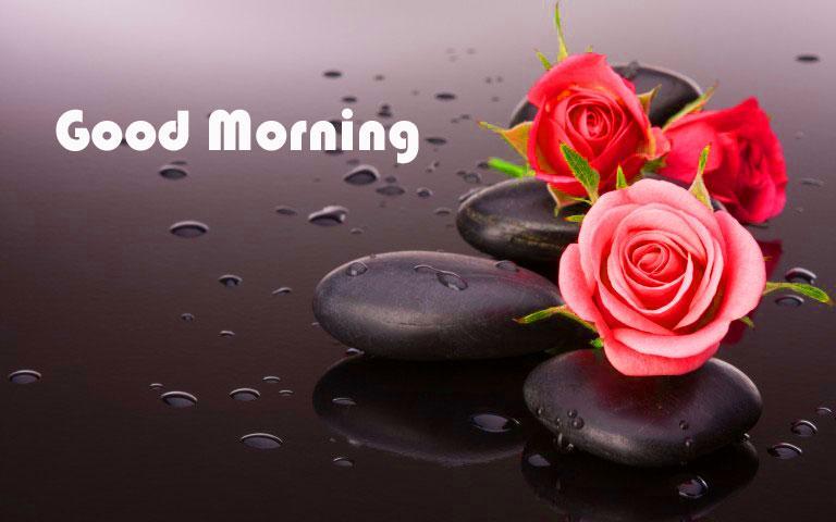 Good Morning Images For Whatsapp 2018 For Android Apk Download