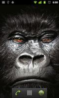 Gorilas Do Papel De Parede imagem de tela 1