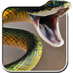 Serpiente Live Wallpaper