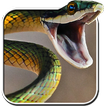 Snake Live Wallpaper