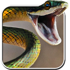 Snake Live Wallpaper أيقونة