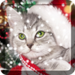 Noël Cat Live Wallpaper
