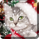 คริสมาสต์แมว Live Wallpaper APK