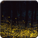 Forest Firefly live wallpaper APK