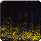 숲 반딧불 라이브 배경 화면 아이콘