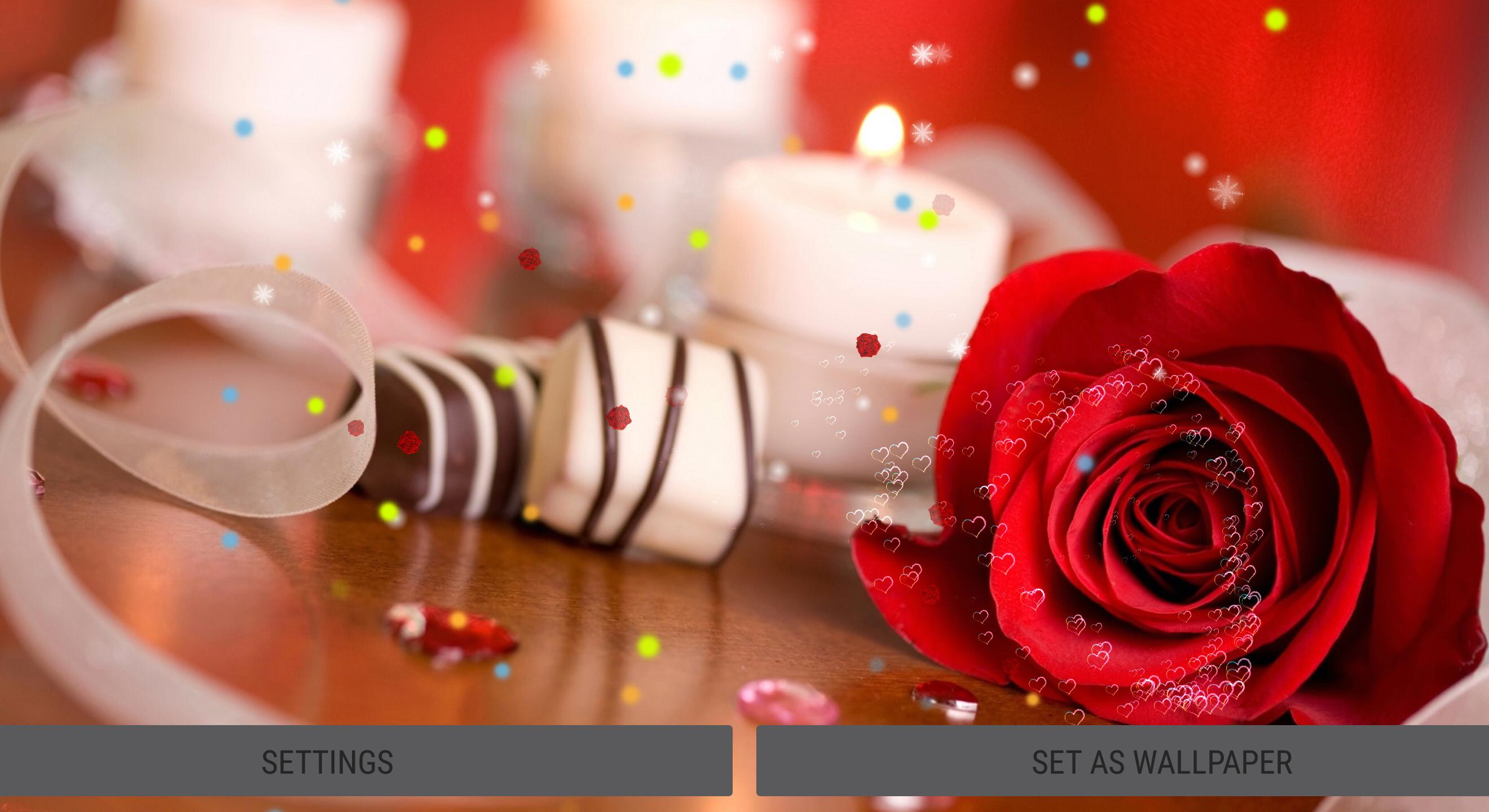 400+ Wallpaper Cantik Hidup HD 400+ Wallpaper Cantik Hidup HD
