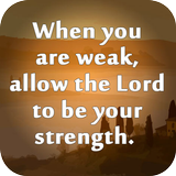 Bible Quotes 图标
