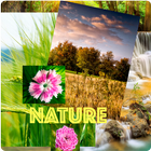 Nature Wallpapers: sunset, waterfall, rose, winter ikon