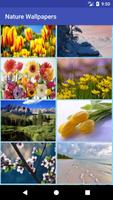 Nature Wallpapers: sunset, waterfall, rose, winter penulis hantaran