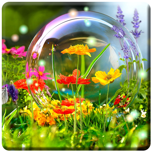 HD Nature Wallpapers