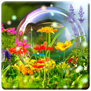 HD Nature Wallpapers APK