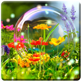HD Nature Wallpapers