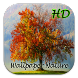 wallpaper nature icône