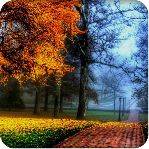 Live Day Night Wallpaper