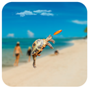 beach parallax wallpaper APK