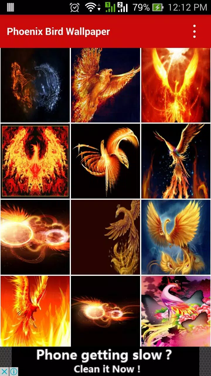 Phoenix Bird Wallpapers APK for Android Download Phoenix Bird Wallpapers APK for Android Download
