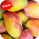 Mango APK