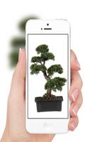 Bonsai स्क्रीनशॉट 3