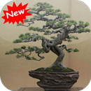 Bonsai APK