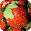 Strawberry fruit wallpaper