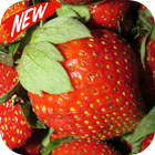 Strawberry fruit wallpaper icon