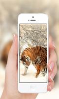 Tiger capture d'écran 1