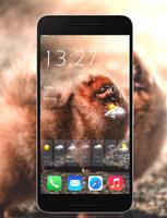 HD Launcher - Pomeranian Dog Live Wallpaper পোস্টার