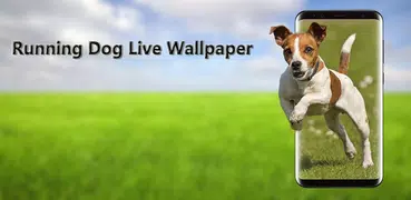 ランニング犬ライブ壁紙
